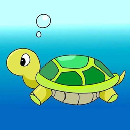 海龟乐园正版