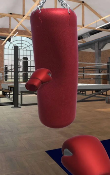 拳击训练模拟器
